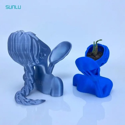 schönheit blumentopf frei 3d drucken modell 3dexport sunlu pla abs 3d print model - Mito3D