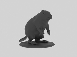 beaver 3d model in rodent 3dexport animal animals wildwife wildanimal zoo zoology zbrush 3dprinter 3dprinted 3d print model - Mito3D