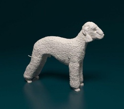 Bedlington chien animal stl obj imprimable 3d print model - Mito3D