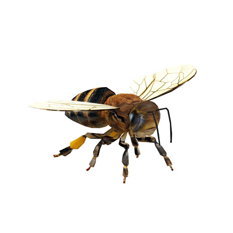 abeille 3d impression modèle in 3dexport 3D print model - Mito3D
