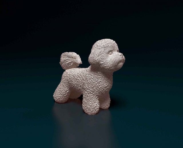 bichon frise 3d impression modèle in figurines 3dexport chien animal imprimable syl obj 3D print model - Mito3D