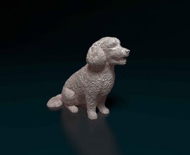 bichon fregio cane animale printready stampabile stl obj francese terrier 3d print model - Mito3D