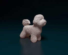 bichon fregio 3d stampa modello in figurine 3dexport cane animale stampabile syl obj 3d print model - Mito3D