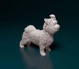 bière yorkshire terrier 3d impression modèle in figurines 3dexport chien york animal imprimable stl obj 3d print model - Mito3D