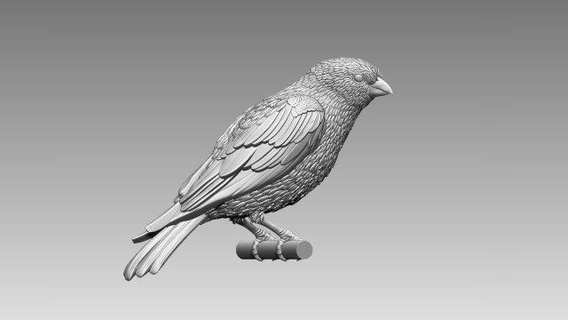 kuş heykel kiraz kuşu baştankara şakrak kuyruksallayan serçe kale karga Jay Yazdır hayvan Sanat 3d print model - Mito3D