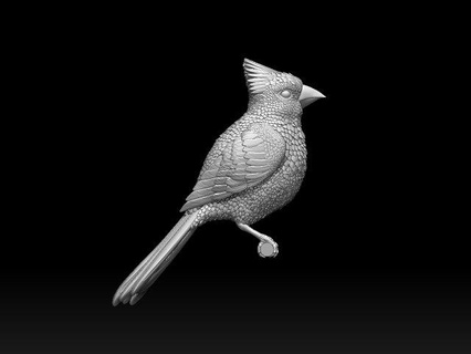 Vogel rot Kardinal Skulptur Jay Brahmanen Star Sturnia Pagoden drucken Adler Gans schlucken Spatz Taube Tier 3d print model - Mito3D