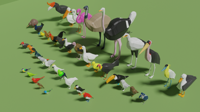 kuşlar paketlemek 3d model in kuş 3dexport düşük poli papağan martılar kaz tavuk flamingo toucan balıkçıl baykuş akbaba turaco martı devekuşu daü kardinal orman tavuğu güvercin kartallar pelikan 3d print model - Mito3D