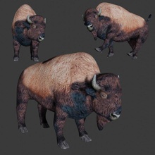 bison 3d model in cow 3dexport bull buffalo 3d print model - Mito3D