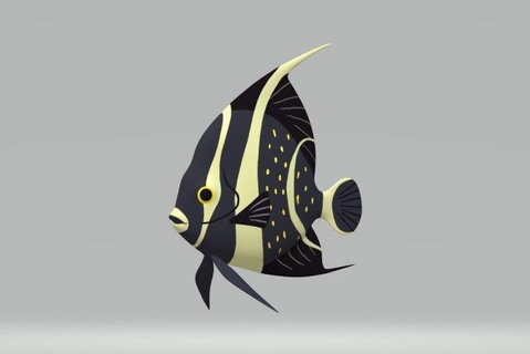 siyah melek balığı hazır Yazdır stl fbx obj hayvanlar imparator açı hayvan balık fish tropikal deniz okyanus su black girdled Su yaban hayatı Kayalık palyaço akvaryum doğa 3d print model - Mito3D