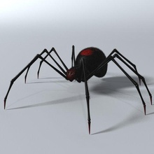 negro araña equipado 3d modelo in 3dexport rojo viuda arácnido arach artrópodo invertebrado insecto pelaje araignee criatura 3d print model - Mito3D