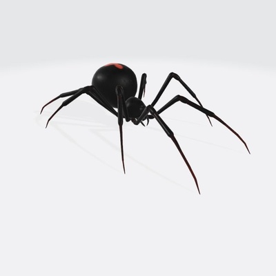 black widow spider ready to print 3d model in sculpture 3dexport poison arachnid poisonous fangs animals insect evil bug monster creature scary arach arthropod invertebrate 3dmodel hairy character 3d print model - Mito3D