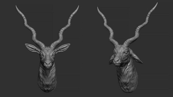 kara para antilop büst hayvanlar Boynuz heykel hayvan baş ruh hali dekoru yazdırılabilir kolye madalyon cnc takı heykeller 3d print model - Mito3D