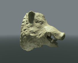 boars head boar hog wild beast 3d print model - Mito3D