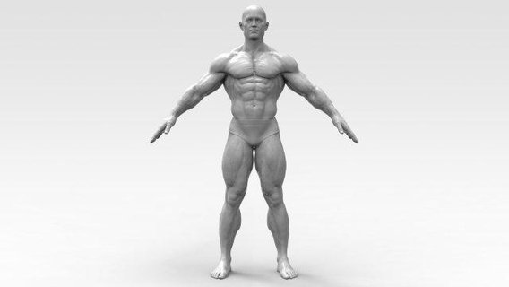 carrocero anatomía Arnold pose olimpia aptitud hombre masculino atlético músculo fuerte cuerpo figuritas preescolar musculoso ganador 3d print model - Mito3D