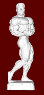 bodybuilder uomo 3d print model - Mito3D
