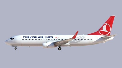 Boeing 737 800 Türk hava Yolları yüksek detaylı uçak ticari dış 3d print model - Mito3D