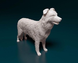 fronteira collie 3d impressão modelo in estatuetas 3dexport cão animal imprimível printready stl obj 3d print model - Mito3D