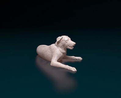 frontera collie 05 figuritas perro animal impresión mascota stl obj figurilla animales 3d print model - Mito3D