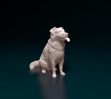 frontera collie cruzar 3d impresión modelo figuritas perro animal imprimible 3d print model - Mito3D