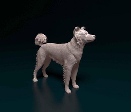border collie cross 3d print model in figurines 3dexport mix breed printready animal dog 3d print model - Mito3D