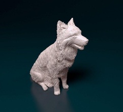 border collie sitting 3d print model in figurines 3dexport dog animal printready stl obj 3d print model - Mito3D