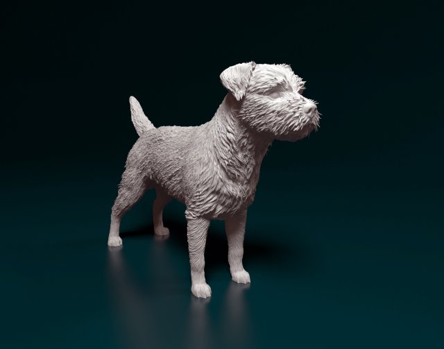 fronteira terrier cão 3d impressão modelo in estatuetas 3dexport stl obj animal printready 3D print model - Mito3D