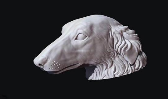 borzoi dog head pendants woulfhound russianwolfhound puppy hunt jewelry silver gold ring pendant handle billet sculpture animal hunter hunting duke 3d print model - Mito3D