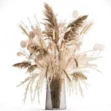 bouquet dried flowers glass vase 126 lunaria triticum spikelet wheat dry grass reeds reed general-decor flower bushes decor decoration 3d print model - Mito3D