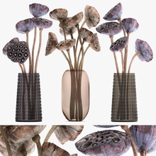 ramalhete seco flores vidro vaso 152 lótus caule vagens natural decoração general decor flor arbustos folha 3d print model - Mito3D