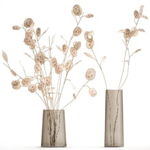 bouquet séché fleurs lunaire verre vase 129 sec herbe general decor fleur buissons décor décoration 3d print model - Mito3D