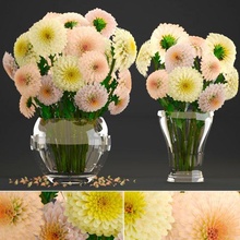 buket of çiçekler yıldız çiçeği 3d model in 3dexport krizantem vazo tencere çiçek taç yapraklar bardak renkler taşma dekor bereketli yaprak gerçekçi bitki güzellik ilkbahar 3d print model - Mito3D