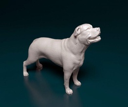 ca de bou 3d stampa modello in figurine 3dexport incarcerato mastino cane animale printready stl obj 3d print model - Mito3D