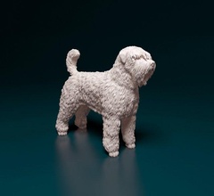 pastore des flandres 3d stampa modello in figurine 3dexport cane animale printready stl obj 3d print model - Mito3D
