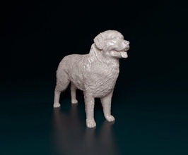 bovaro bernés 2 3d impresión modelo in figuritas 3dexport perro animal listo imprimir stl obj 3d print model - Mito3D