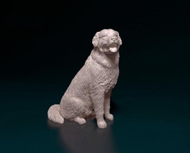bovaro del bernese sitting 3d print model in figurines 3dexport lowpoly polygonal dog animal 3d print model - Mito3D