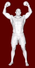 boxer 3d impresión modelo in hombre 3dexport boxeadores 3d print model - Mito3D