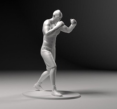 Boxer 01 Meisterschaft 3d drucken Statue Figur Sport Spiel Spielzeuge Abfall Box Ring wbo wba wbc ibf Turnier Profi Ukraine Spiele 3d print model - Mito3D