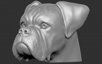 Boxer perro cabeza 3d impresión pozo toro terrier americano amstaff dobermann fornido busto danés animal escultura anatomía francés buldog rottweiler shih Labrador 3d print model - Mito3D