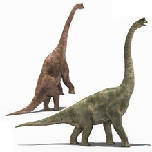 brachiosaurier 8k 3d modell dinosaurier 3dexport brachiosaurus rex tier reptil jurassisch park raubvogel triceratops stegosaurier tyrannosaurus tyrannosaurier 3d print model - Mito3D
