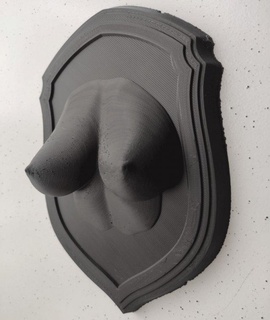 pechos agua trofeo stl 3d impresora escultura modelo figurilla realista mujer Arte 3d print model - Mito3D