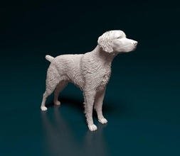 brittany dog animal stl obj printready 3d print model - Mito3D