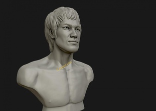 bruce sotavento 3d imprimible modelo impresión in escultura 3dexport arte bruce lee busto fdm cabeza humano esculturas 3d print model - Mito3D