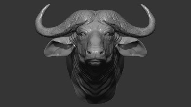 buffalo head animal mammal 3dmodel nature sculpture miniatures printable reliefmodel 3d print model - Mito3D