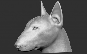 toro terrier perro cabeza 3d impresión modelo in escultura 3dexport pozo americano dobermann busto danés animal anatomía buldog rottweiler pitbull shih tzu labrador doguillo bull 3d print model - Mito3D
