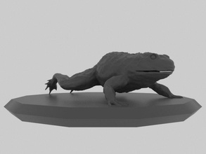 kurbağa hayvanat bahçesi deniz hayvan 3dprinter 3dprinted 3dprinting 3d print model - Mito3D