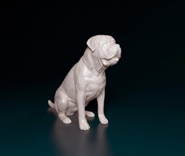 bullmasiff bull mastiff bulterrier terrier dog animal printready stl obj 3d print model - Mito3D