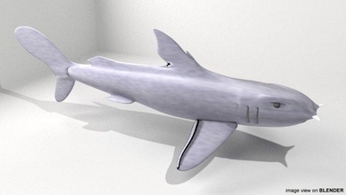 bullshead shark bulls head horn coastal fins sandy tail aquatic swim 3d print model - Mito3D