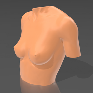 fallimento 02 3d stampa modello in scultura 3dexport seno figurina donna sla boob resina arte pla 3d print model - Mito3D