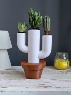 cactus pot 3d impression modèle décor maceta macétale 3d print model - Mito3D