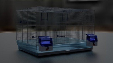 of a cage parrots 3d model in bird 3dexport birds cell parrot iron plastic storage lodging feeder chicks sage models 3d print model - Mito3D